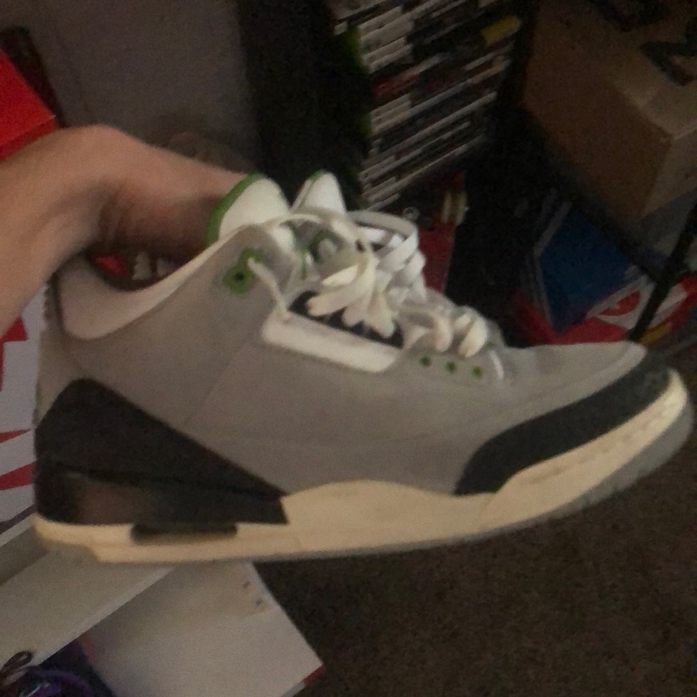 Jordan 3 chlorophyll